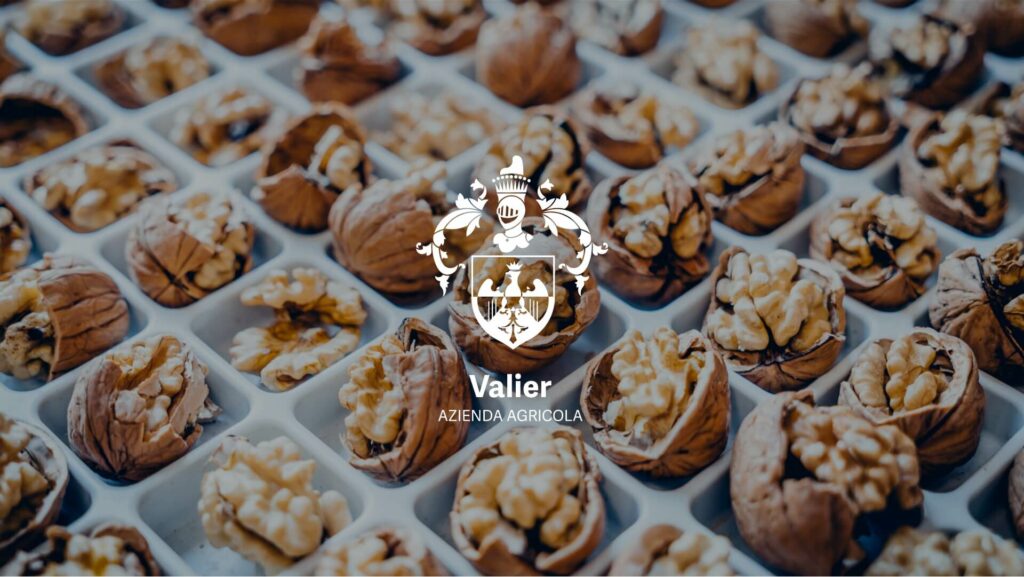 Valier